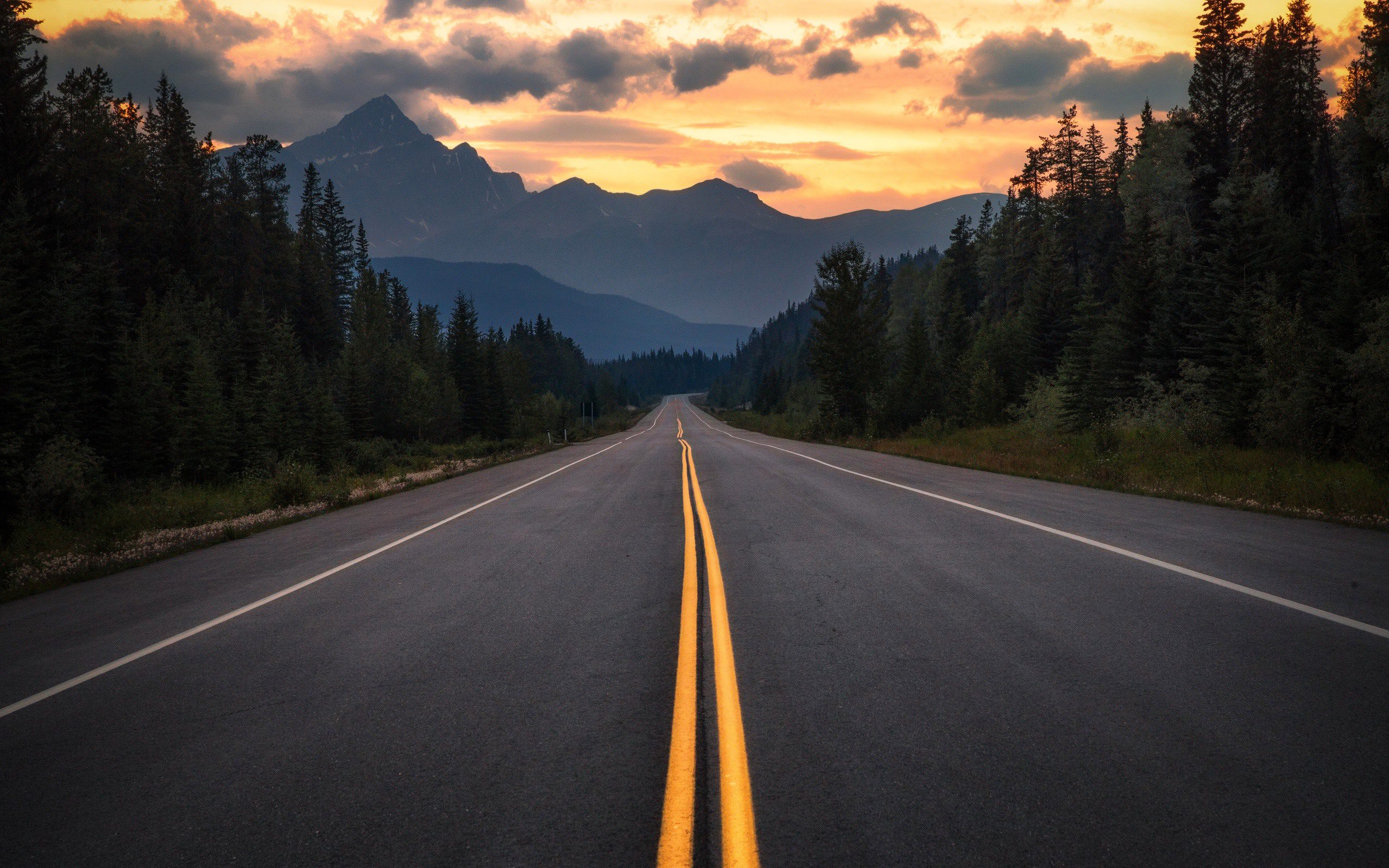 Canada-Albert-road-trees-mountains-clouds-dusk_2560x1600