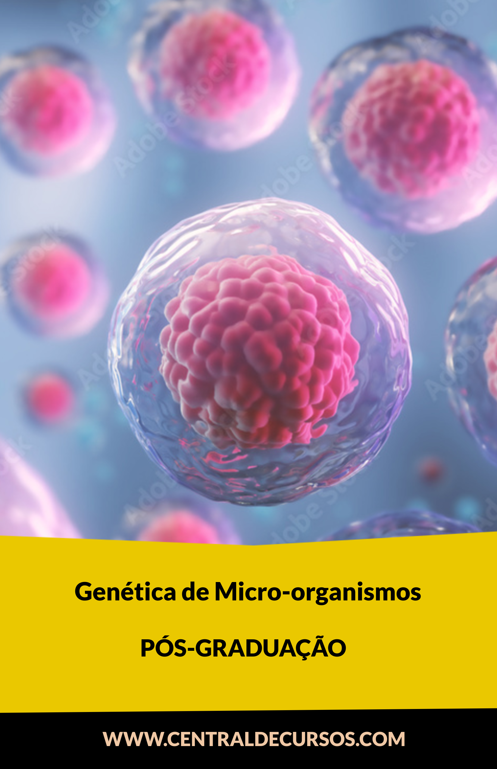  Genética De Micro-Organismos
