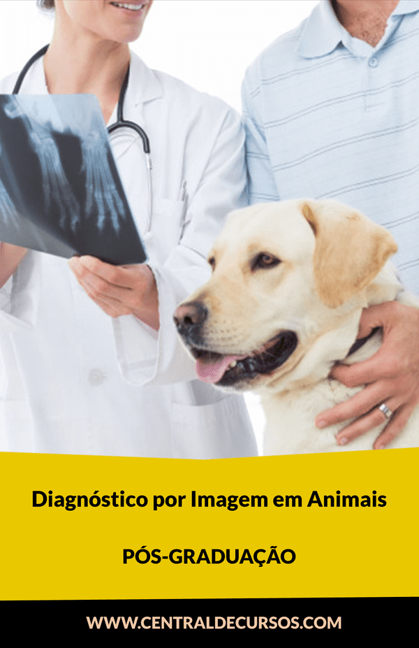 Diagnóstico por Imagem em Pequenos Animais